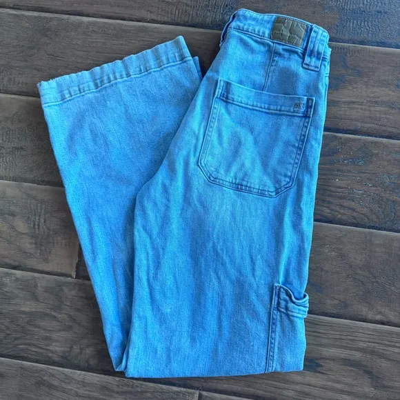AE Low-Rise Baggy Wide-Leg Jean Size 0
