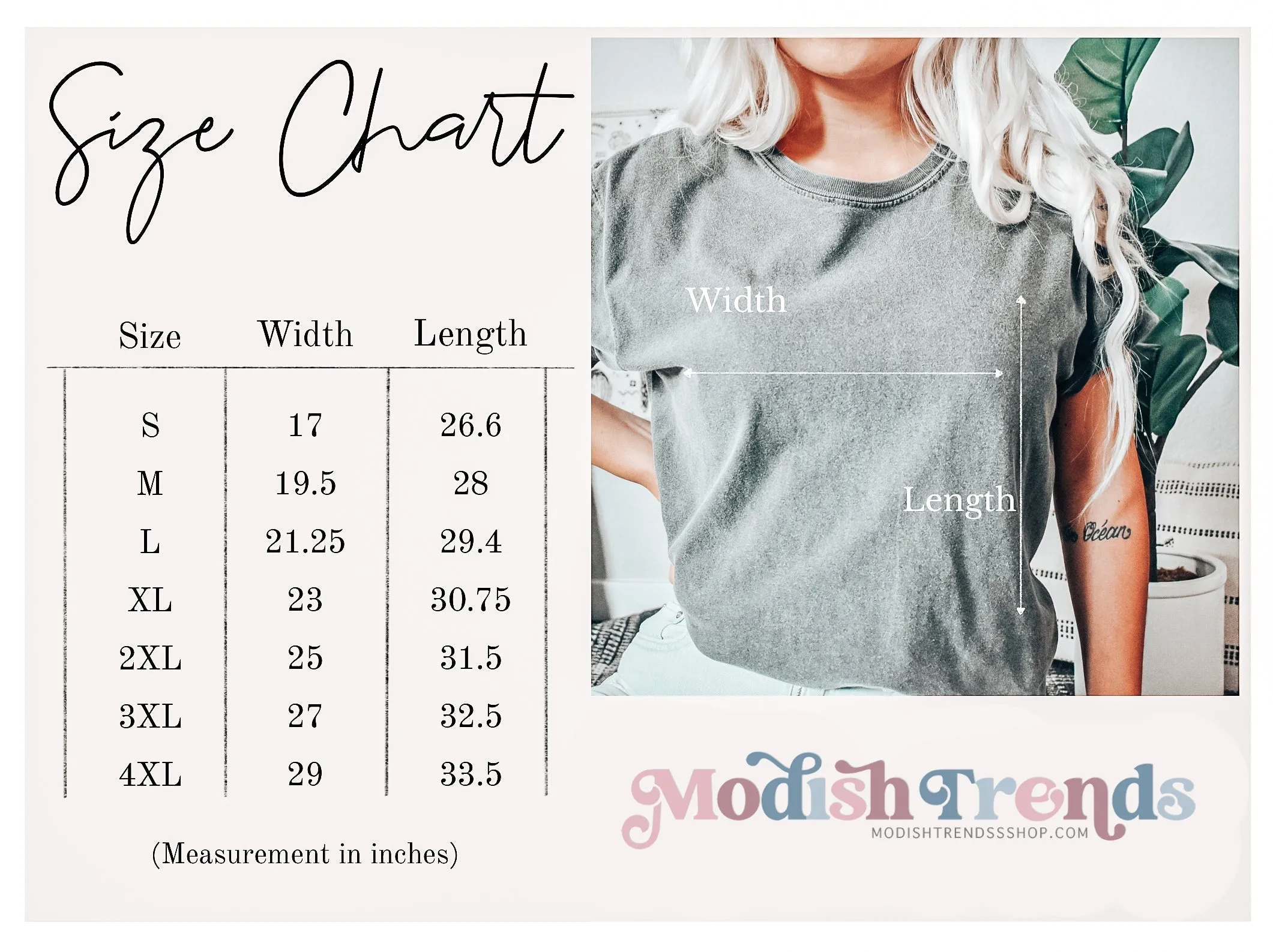 Always Chasing Chaos - Comfort Colors Adult Tee | Retro Block