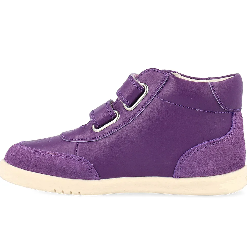 Bobux IW Champ High Murasaki Purple Chalk Ankle Boots