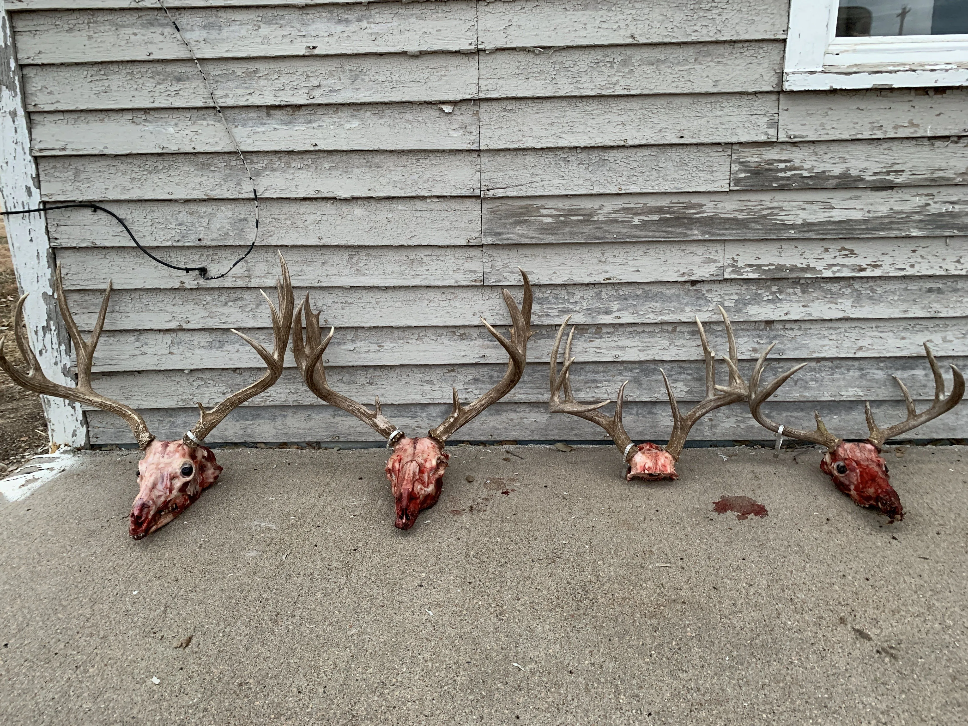 Burke Farms - Nebraska DIY Archery Deer Hunt (4day)