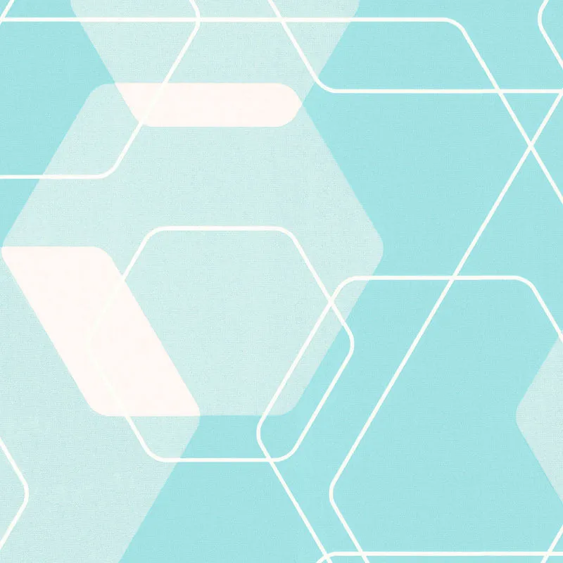 Graphic Hexagonal Prints Blue White 880819 Wallpaper