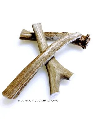 Large Mule Deer Chew