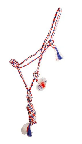 Mule Tape Halter
