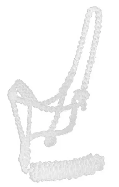 Mule Tape Halter