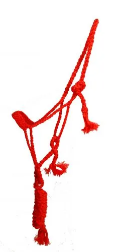 Mule Tape Halter