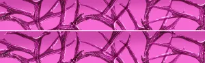 PINK ANTLER ROCKER PANEL WRAP