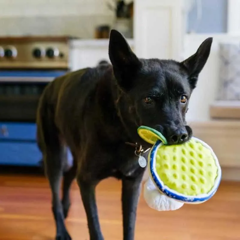 Pup-arita Dog Toy